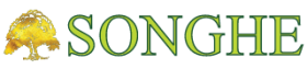 Songhe Tools Paraguay